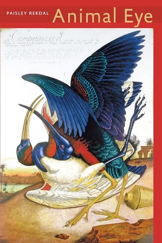 Animal Eye (Paperback or Softback)