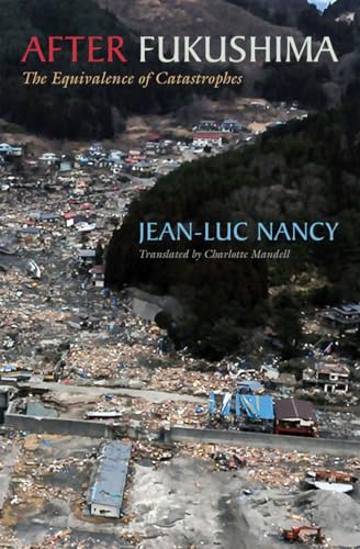 After Fukushima : The Equivalence of Catastrophes
