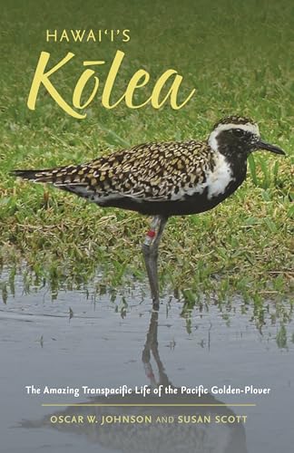 Hawaiis Klea: The Amazing Transpacific Life of the Pacific Golden-Plover