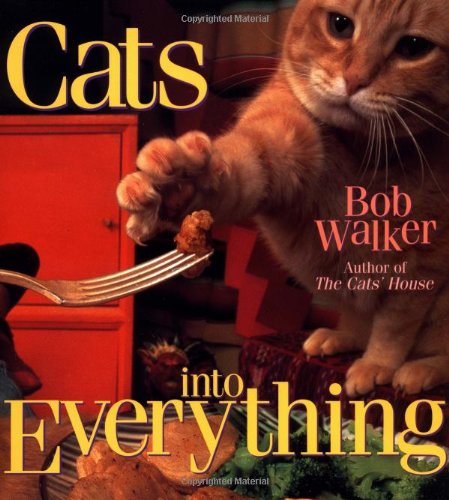 Cats Into Everything
