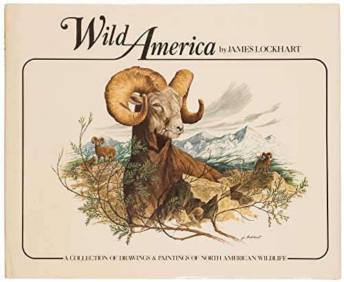 WILD ANIMALS a collection of drawings & paintings of north american wildlife