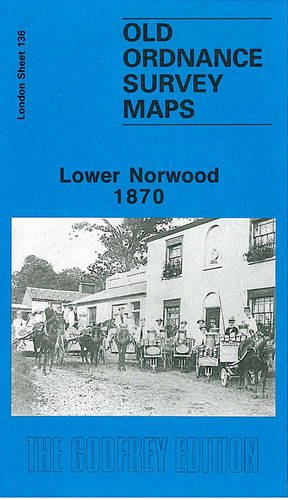 Old Ordnance Survey Maps Lower Norwood 1870 London Sheet 136