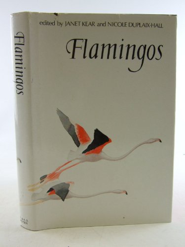 Flamingos