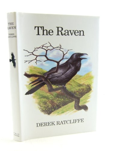 The Raven: A Natural History in Britain and Ireland