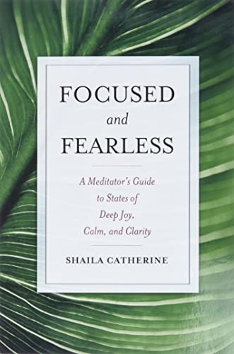 Focused and Fearless : A Meditator's Guide to States of Deep Joy, Calm, and Clarity