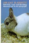 Dwarf Rabbits : Selection, Care & Breeding