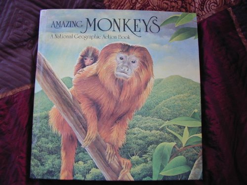 Amazing Monkeys