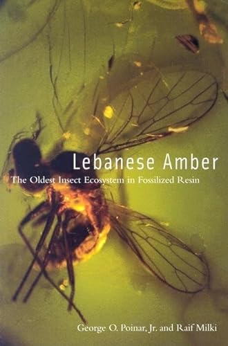 Lebanese Amber: The Oldest Insect Ecosystem in Fossilized Resin