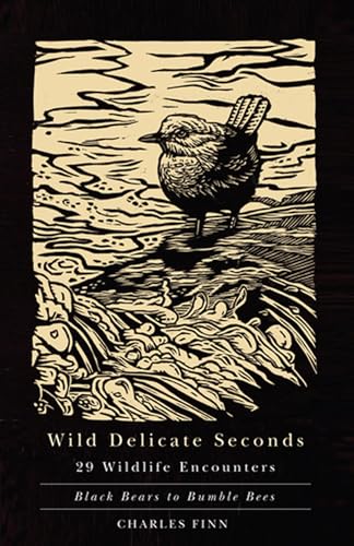 Wild Delicate Seconds: 29 Wildlife Encounters, Black Bears to Bumble Bees