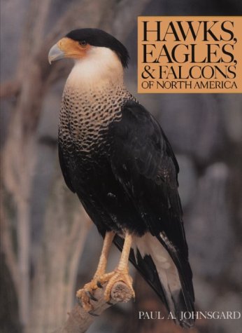 Hawks, Eagles, & Falcons of North America: Biology and Natural History