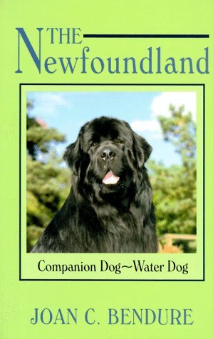 The Newfoundland: Companion Dog - Water Dog