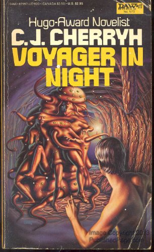 Voyager in Night