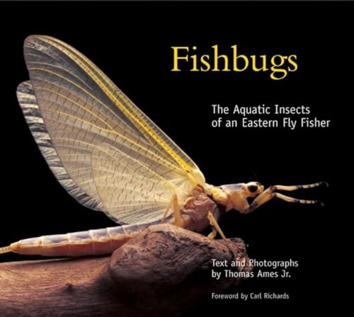 Fishbugs: The Aquatic Insects of an Eastern Flyfisher