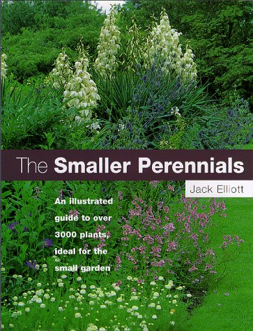 Smaller Perennials