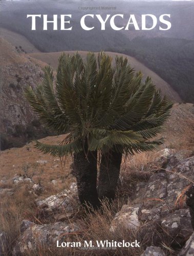 The Cycads