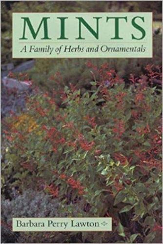 Mints: A Family Of Herbs And Ornaments