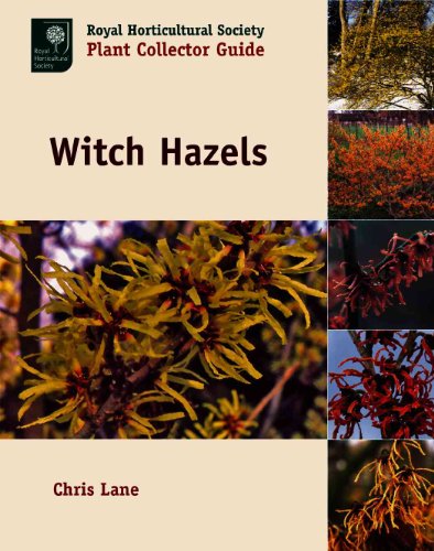 Witch Hazels (royal Horticultural Society Plant Collector Guide, Rhs/timber Press Plant Collector Guides)
Witch Hazels (royal Horticultural Society Plant Collector Guide, Rhs/timber Press Plant Collector Guides)
