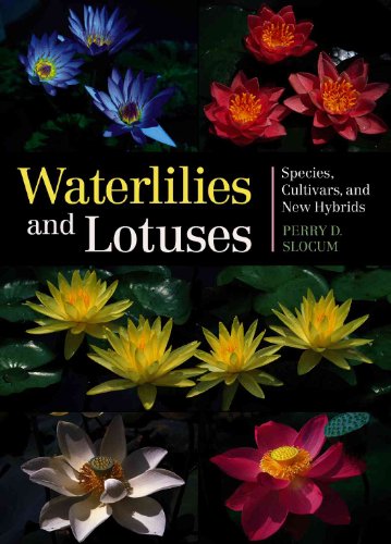 Waterlilies And Lotuses: Species, Cultivars, and New Hybrids