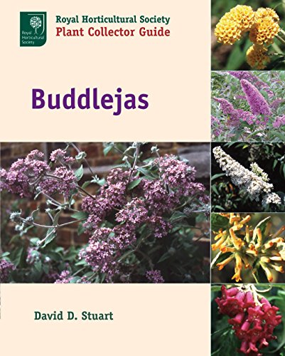 Royal Horticultural Society Plant Collector Guide - Buddlejas