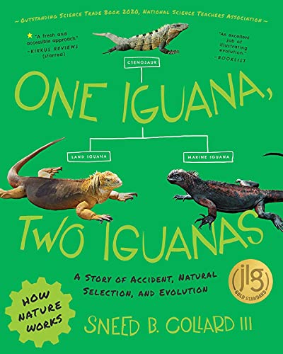 One Iguana, Two Iguanas : A Story of Accident, Natural Selection, and Evolution