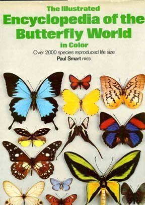The illustrated encyclopedia of the butterfly world (A Salamander book)