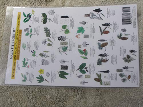 Mac's Field Guide to Yosemite National Park: Trees & Wildflowers
