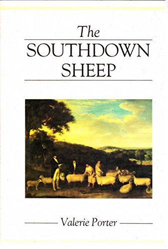 The Southdown Sheep.
