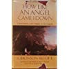 How Like an Angel Came I Down: Conversations With Children on the Gospels