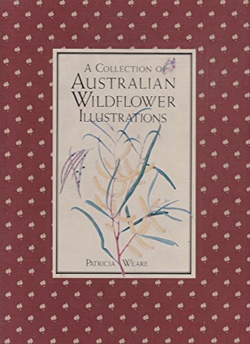 A COLLECTION OF AUSTRALIAN WILDFLOWER [BOTANICAL] ILLUSTRATIONS