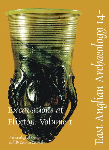 Circles and Cemeteries: Excavations at Flixton (Volume 1)
