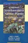 Common Southwestern Native Plants: An Identification Guide