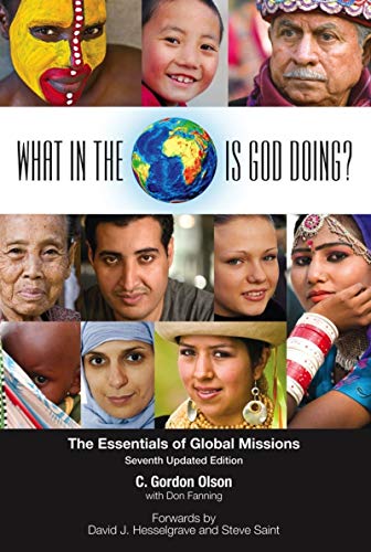 What In the World Is God Doing: The Essentials of Global Missions