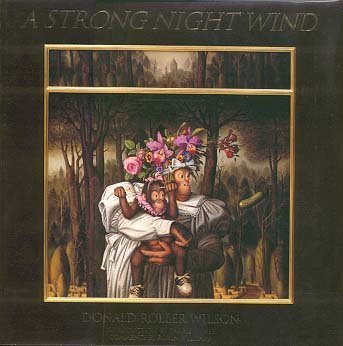 A Strong Night Wind