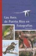 Las Aves de Puerto Rico en Fotografas (Spanish Edition)