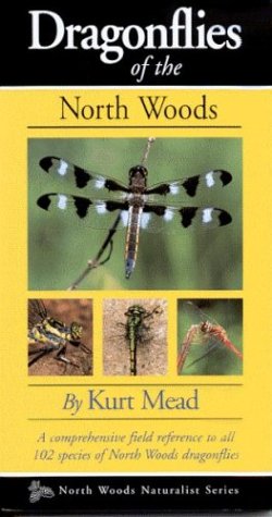 Dragonflies of the North Woods