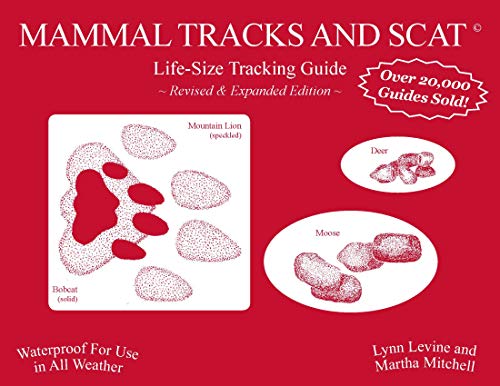 Mammal Tracks and Scat: Life-Size Tracking Guide