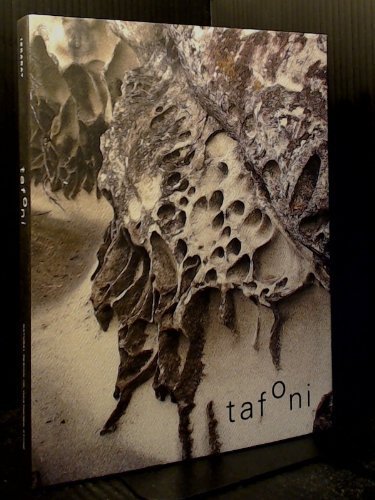 TAFONI: Natural Design of Weathered Stone