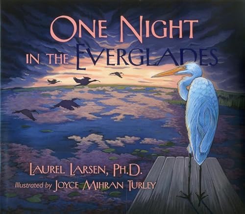 One Night in the Everglades (Long Term Ecological Research)