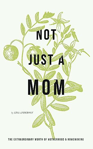 Not Just A Mom: The Extraordinary Worth of Motherhood Homemaking