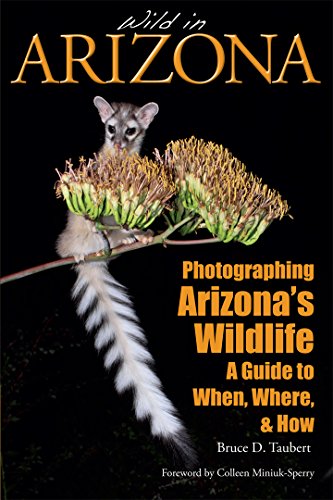 Wild in Arizona: Photographing Arizona's Wildlife, A Guide to When, Where, and How
Wild in Arizona: Photographing Arizona's Wildlife, A Guide to When, Where, and How