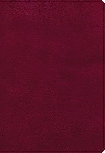 NASB Super Giant Print Reference Bible, Burgundy LeatherTouch