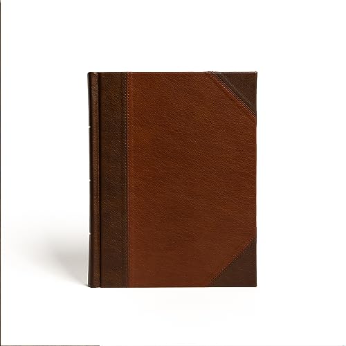 Holy Bible : Csb Notetaking Bible, Large Print Edition, Brown/Tan Leathertouch