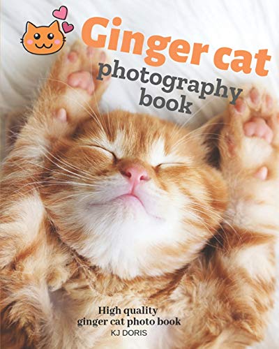 Ginger cat photography book : High quality ginger cat photo book (cat photo album)