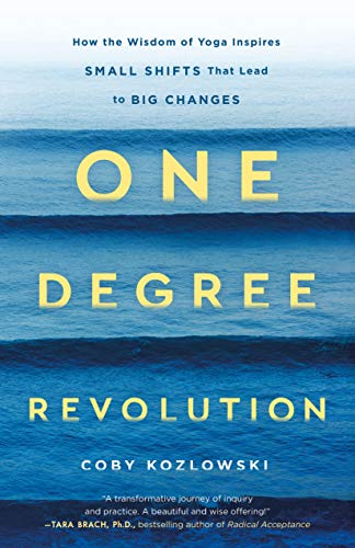 One Degree Revolution: How Small Shifts Lead to Big Changes