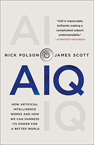 AIQ: How People and Machines Are Smarter Together Paperback
