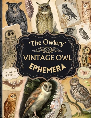 Vintage Owl Ephemera | The Owlery | Owls for Junk Journalling, Scrapbooking, Collage | Gifts for Owl Lovers | 8.5 x 11" Cutout Book
Vintage Owl Ephemera | The Owlery | Owls for Junk Journalling, Scrapbooking, Collage | Gifts for Owl Lovers | 8.5 x 11" Cutout Book