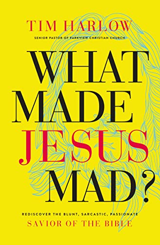 What Made Jesus Mad: Rediscover the Blunt, Sarcastic, Passionate Savior of the Bible
