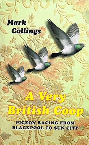 A VERY BRITISH COOP, PIGEON RACING FROM BLACKPOOL TO SUN CITY