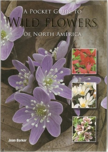 A Pocket Guide to Wild Flowers of North America