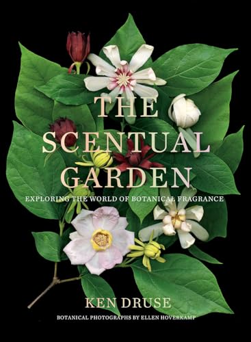 Scentual Garden : Exploring the World of Botanical Fragrance